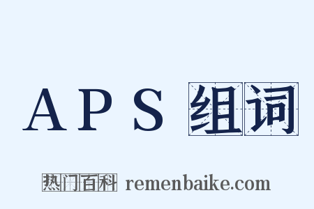 APS组词是什么意思的图片